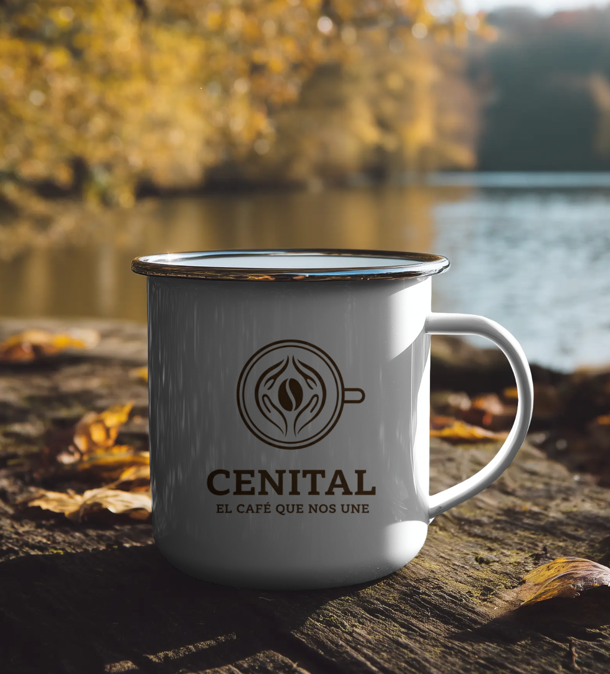 Taza Cenital